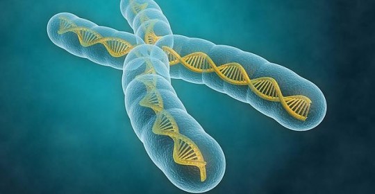 ¿Por qué es importante una valoración genética?